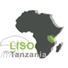 Logo LISO